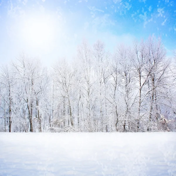 Vinter scen — Stockfoto