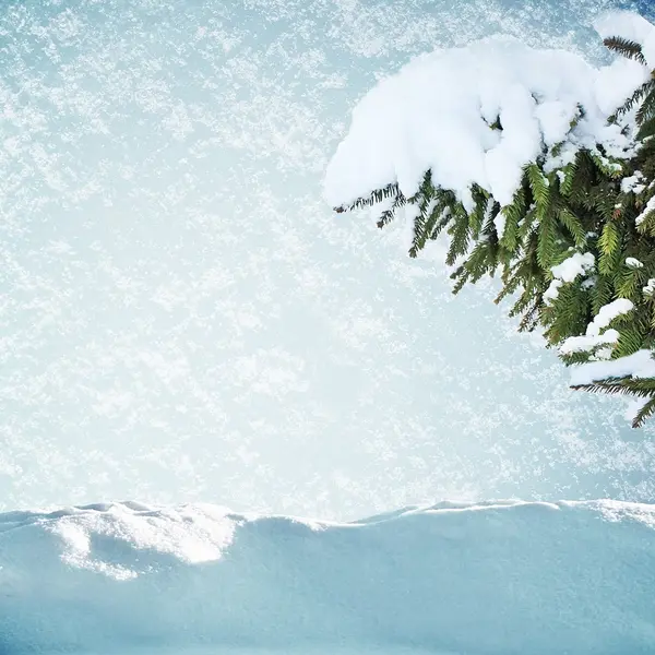 Ajuste tre en la nieve — Foto de Stock