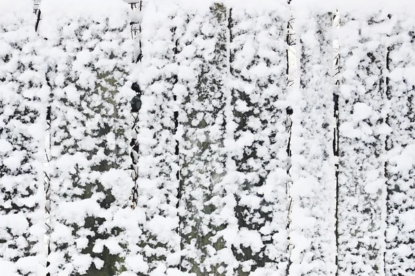 Schneemauer — Stockfoto