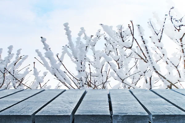 Vintern sätt — Stockfoto