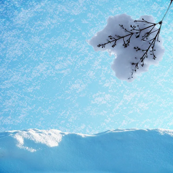 Nieve voladora —  Fotos de Stock
