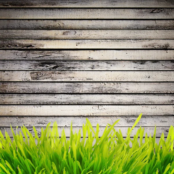 Трава возле стены — стоковое фото