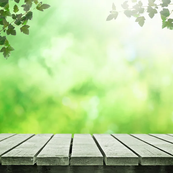 Path in field — Stock Photo, Image