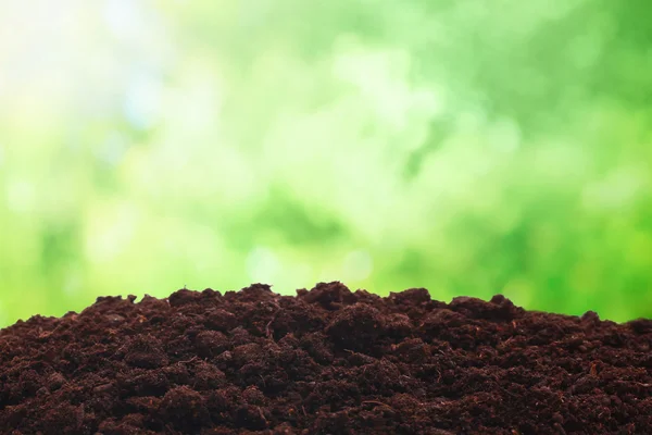 Spring soil — Stock Photo, Image
