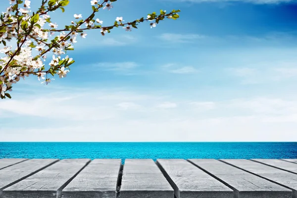 Picnic cerca del agua — Foto de Stock