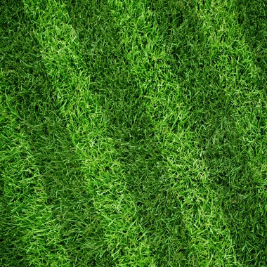 astarlı spor çim alanı