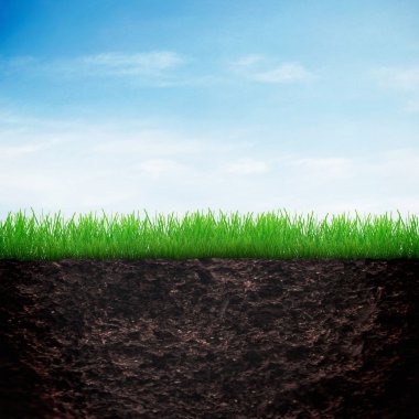 fond de notion de croissance