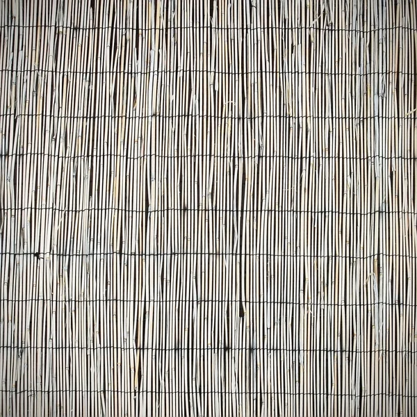Parete di bambù — Foto Stock