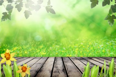 büyüyen doğa ile narcissu