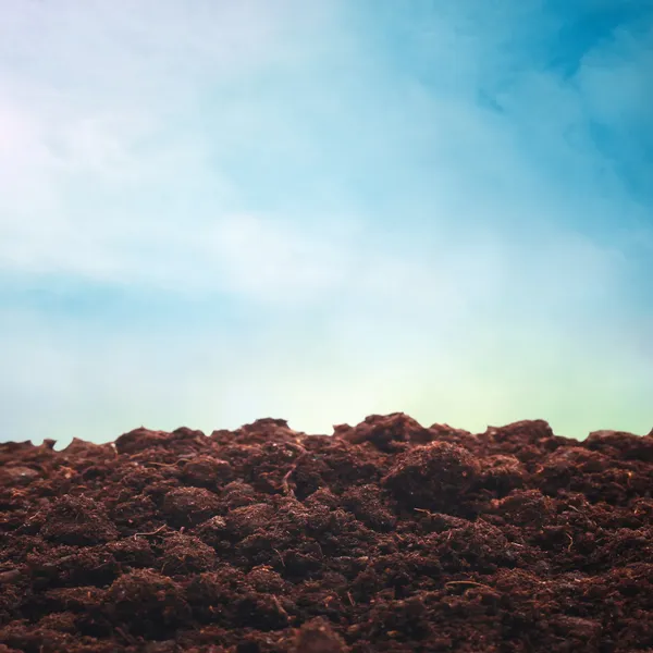 Black soil — Stock Photo, Image