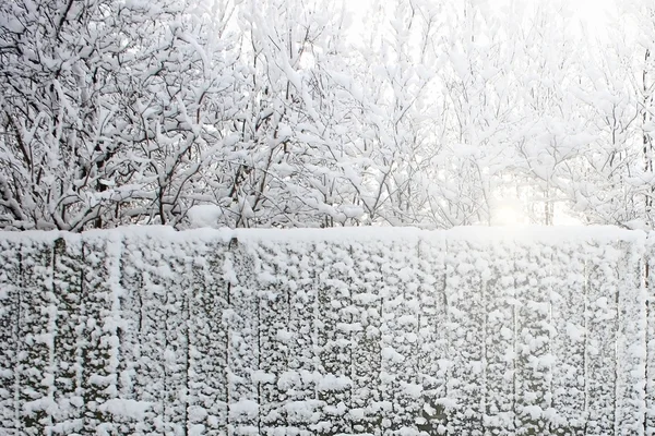 Winterweg — Stockfoto