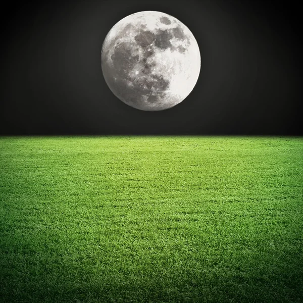 Ночная луна и поле — стоковое фото