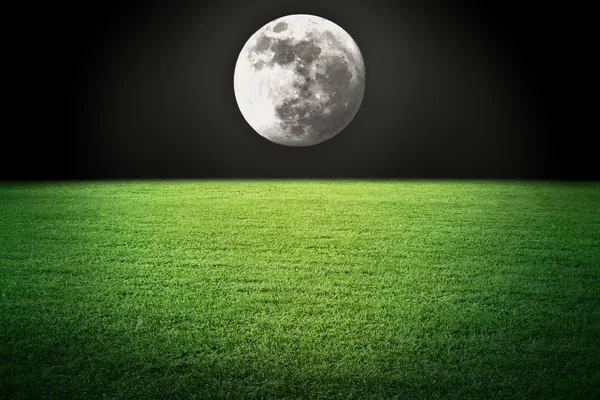 V noci měsíc a pole — Stock fotografie