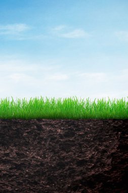 fond de notion de croissance