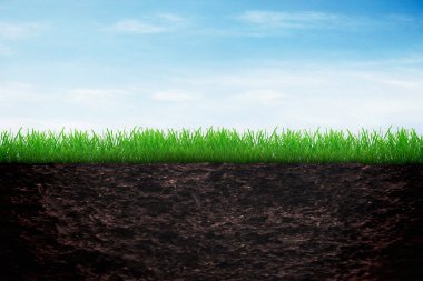fond de notion de croissance