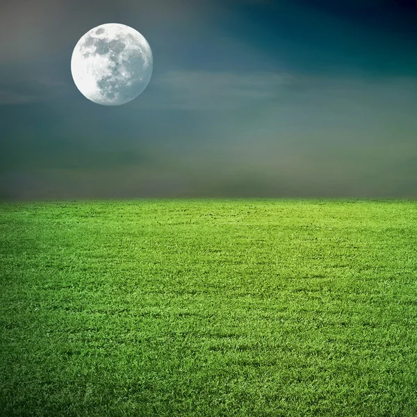 Natt månen och fält — Stockfoto