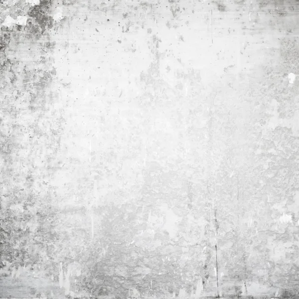 Spce pared en blanco — Foto de Stock