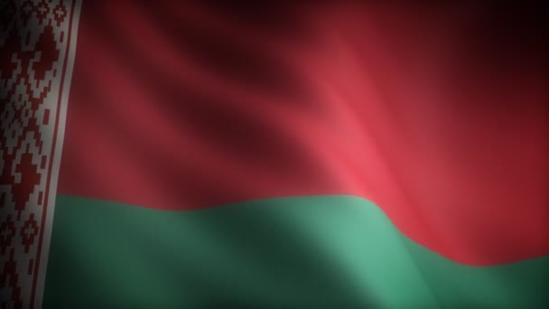 Flag of Belarus — Stock Video