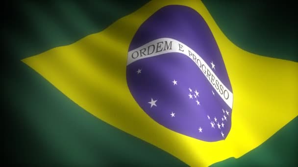 Flag of Brazil — Stock Video