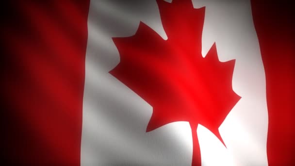 Bandeira do Canadá — Vídeo de Stock