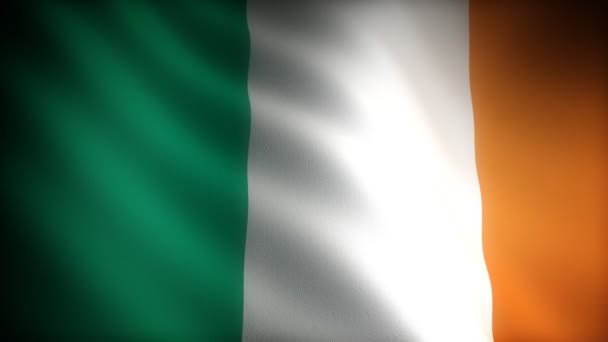 Flag of Ireland — Stock Video
