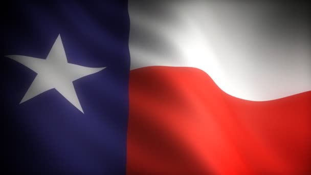 Flag of Texas — Stock Video