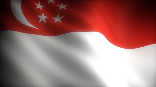 Flagge von Singapore — Stockvideo