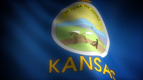 Bandeira de Kansas — Vídeo de Stock