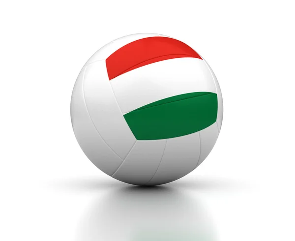 Hungarian Volleyball Team — Stock Photo, Image