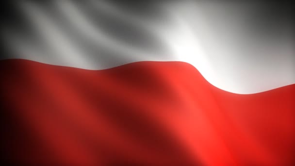 Bandeira de poland — Vídeo de Stock