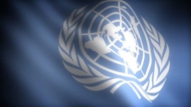 Birleşmiş Milletler bayrağı