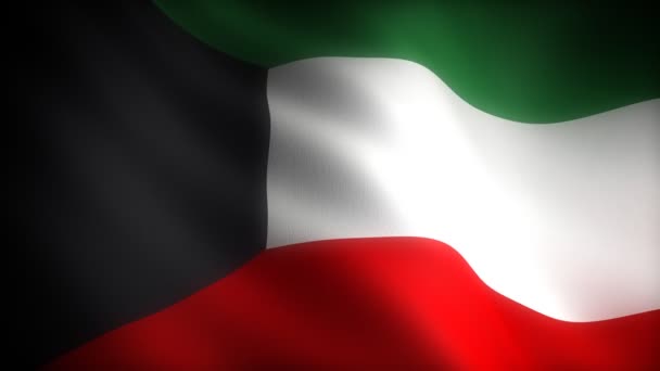 Flagga kuwait — Stockvideo