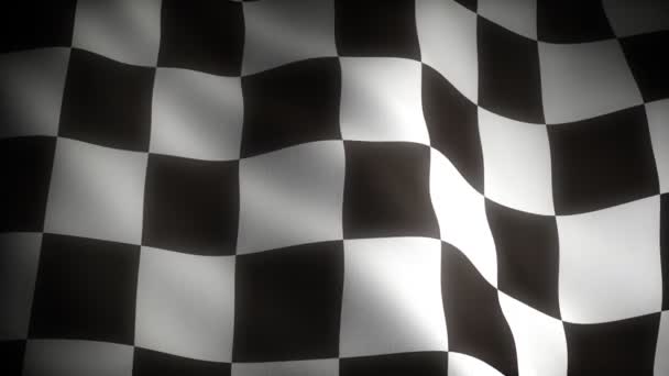 Checkered Flag — Stock Video