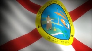 florida bayrağı