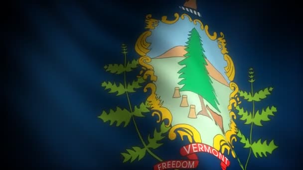 佛蒙特州的旗子 — 图库视频影像