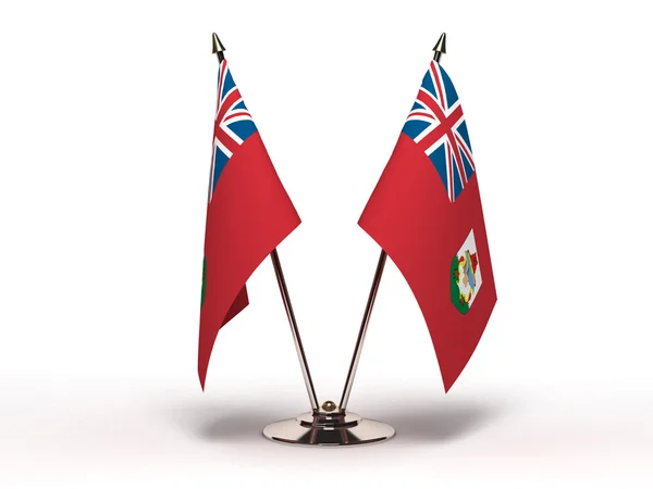 百慕大 (孤立的微型旗帜) — 图库照片