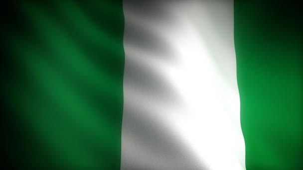 Flagge Nigerias — Stockvideo