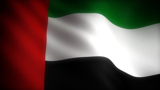 Flagge der Vereinigten Arabischen Emirate — Stockvideo