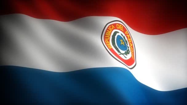 Bandeira do paraguai — Vídeo de Stock