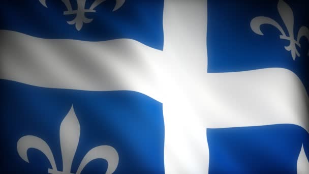 Bandiera del Quebec — Video Stock