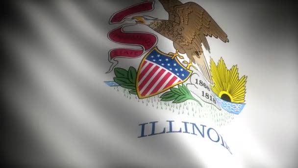 Bandera de Illinois — Vídeo de stock