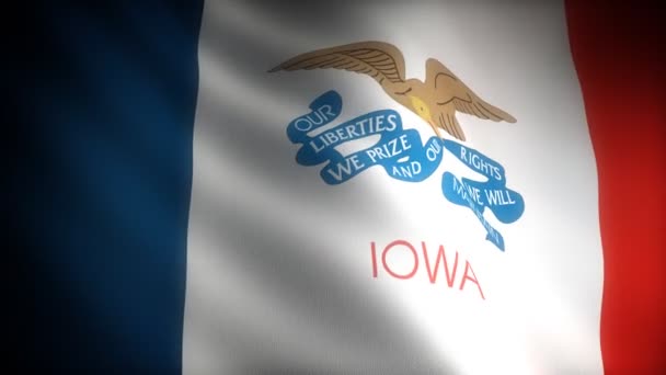 アイオワ州の旗 — ストック動画