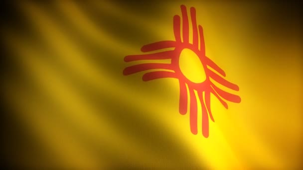 Flagga i new mexico — Stockvideo