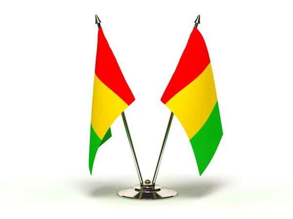 Мініатюрні прапор Гвінеї — стокове фото