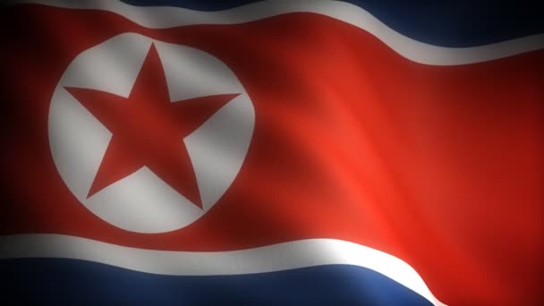 朝鲜的国旗 — 图库视频影像