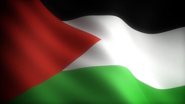 巴勒斯坦的旗帜 — 图库视频影像