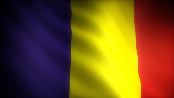 Flagge Rumäniens — Stockvideo
