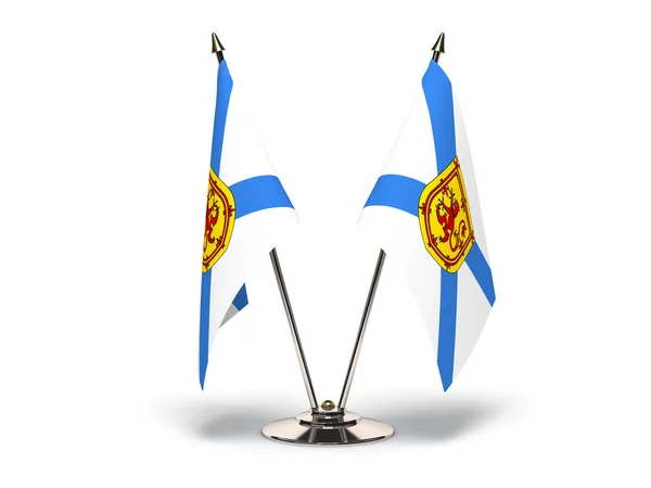 Bandiera in miniatura della Nuova Scozia — Foto Stock