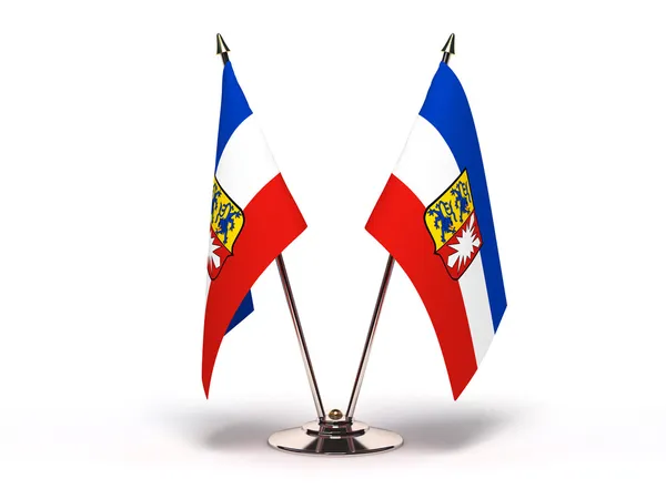 schleswig Holstein minyatür bayrağı