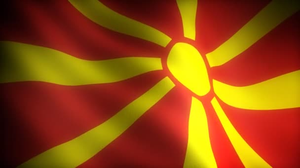 Vlag van Moldavië — Stockvideo